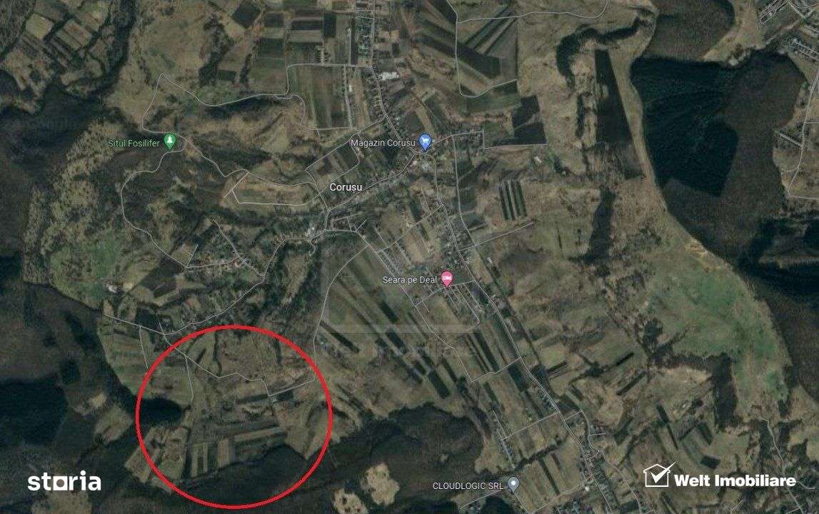 Teren extravilan 4400 mp, pozitie elevata, langa padure, Corusu - Imagine principală: 1/3