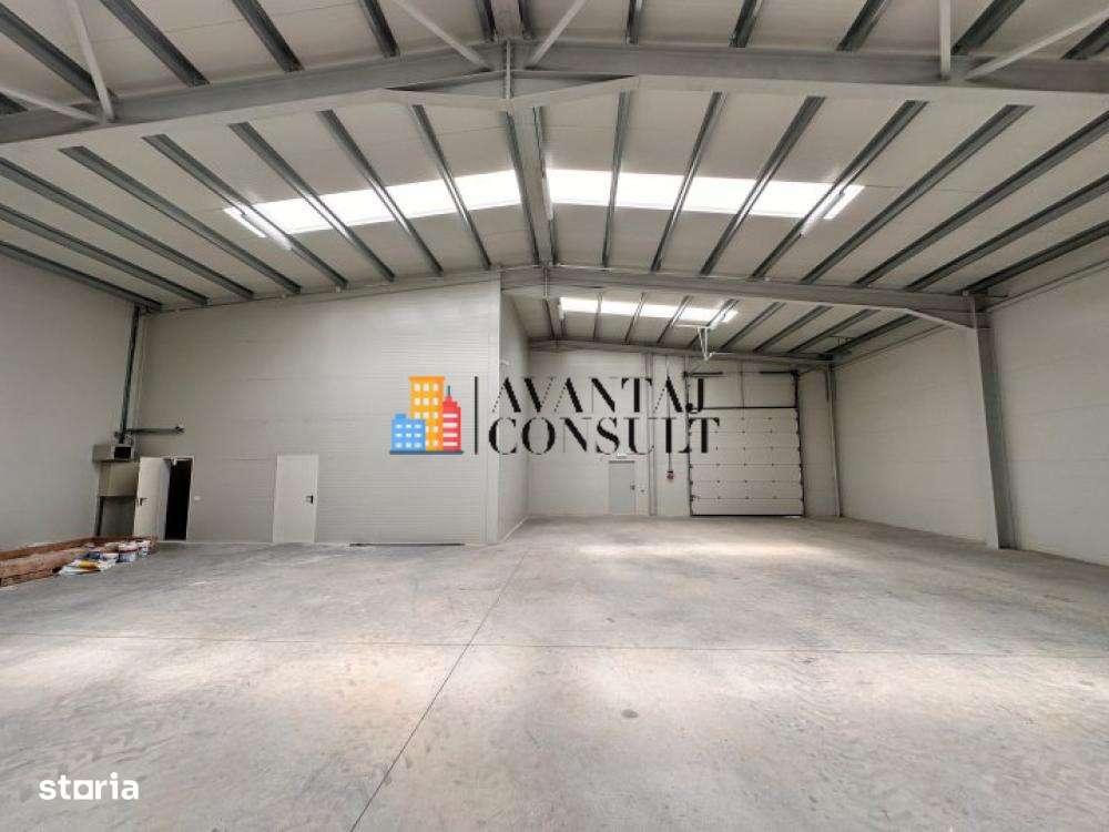 Inchirieri Spatii Industriale Rudeni - Imagine principală: 5/15