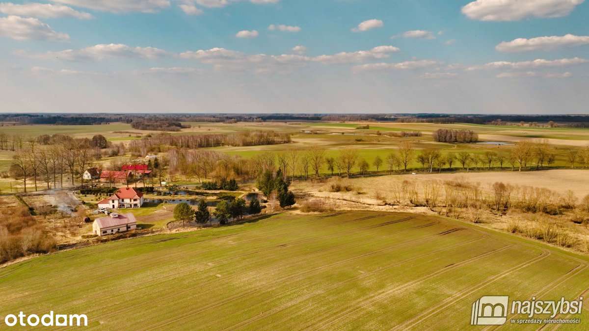 Maszewo-Jenikowo działka 2 ha - Altro