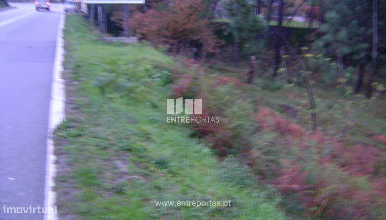 Venda Terreno, Avessadas, Marco de Canaveses - Grande imagem: 4/34