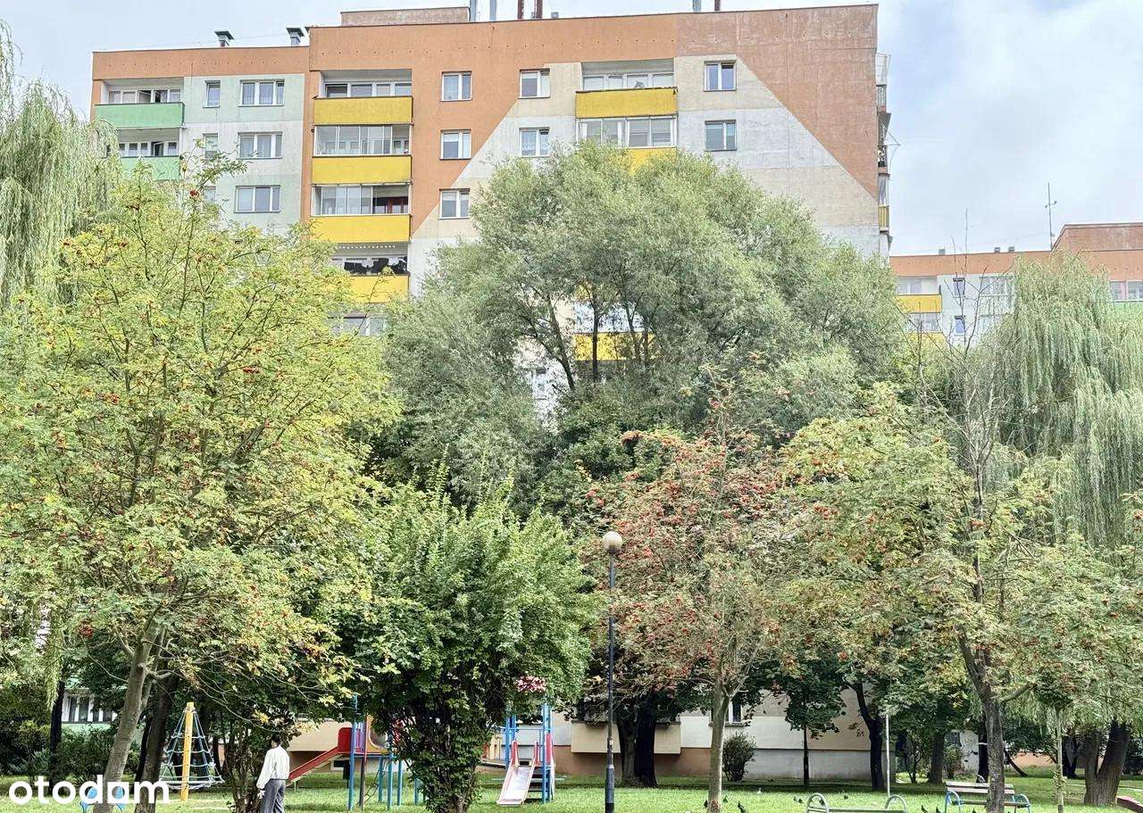 Przestronne 3 pokoje z dwoma balkonami – Kurdwanów-16