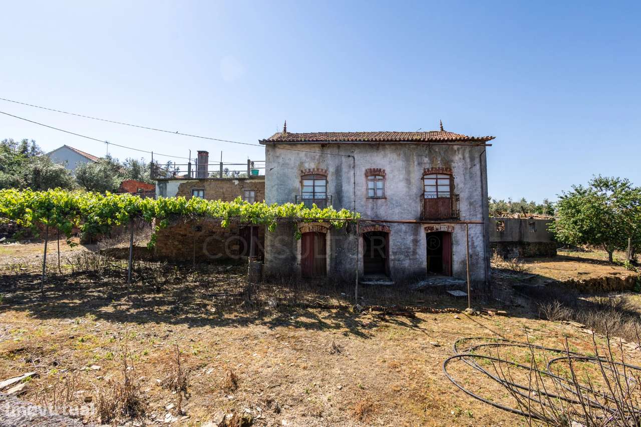 PROPRIEDADE DE CARÁTER NA N2 | 400 m² DE CONSTRUÇÃO, OLIVAL E POTEN...-27