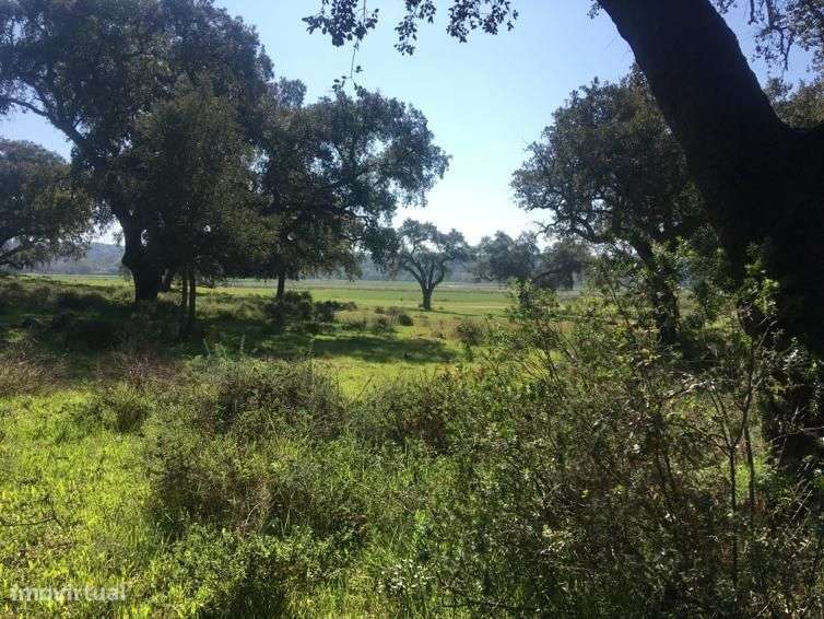 Terreno com área de construção e pista de aviação - Grande imagem: 5/20