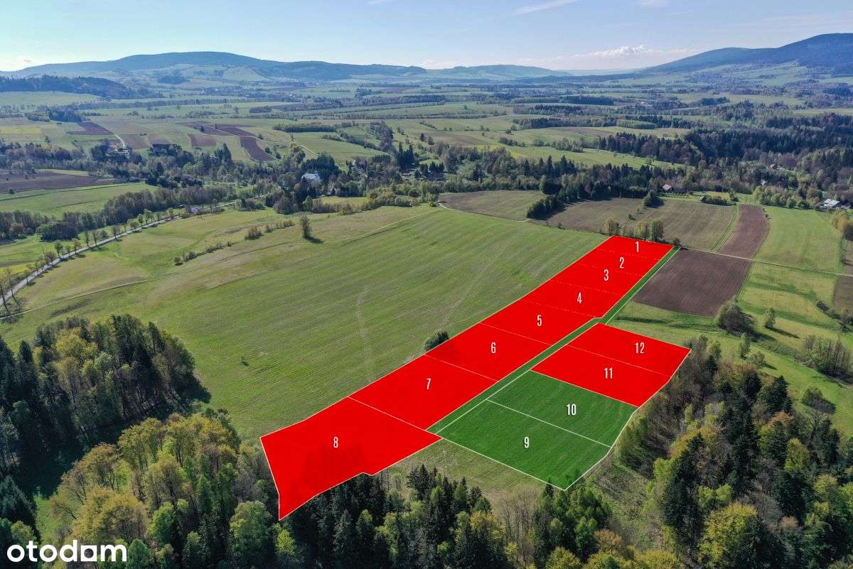 Działki widokowe w gminie Międzylesie / 3000 mkw. - Pełny obrazek: 5/8