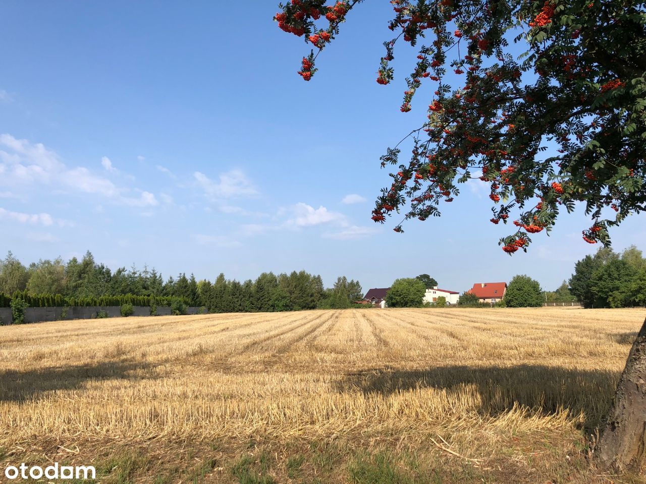 Piękna, przestronna działka Biskupice,