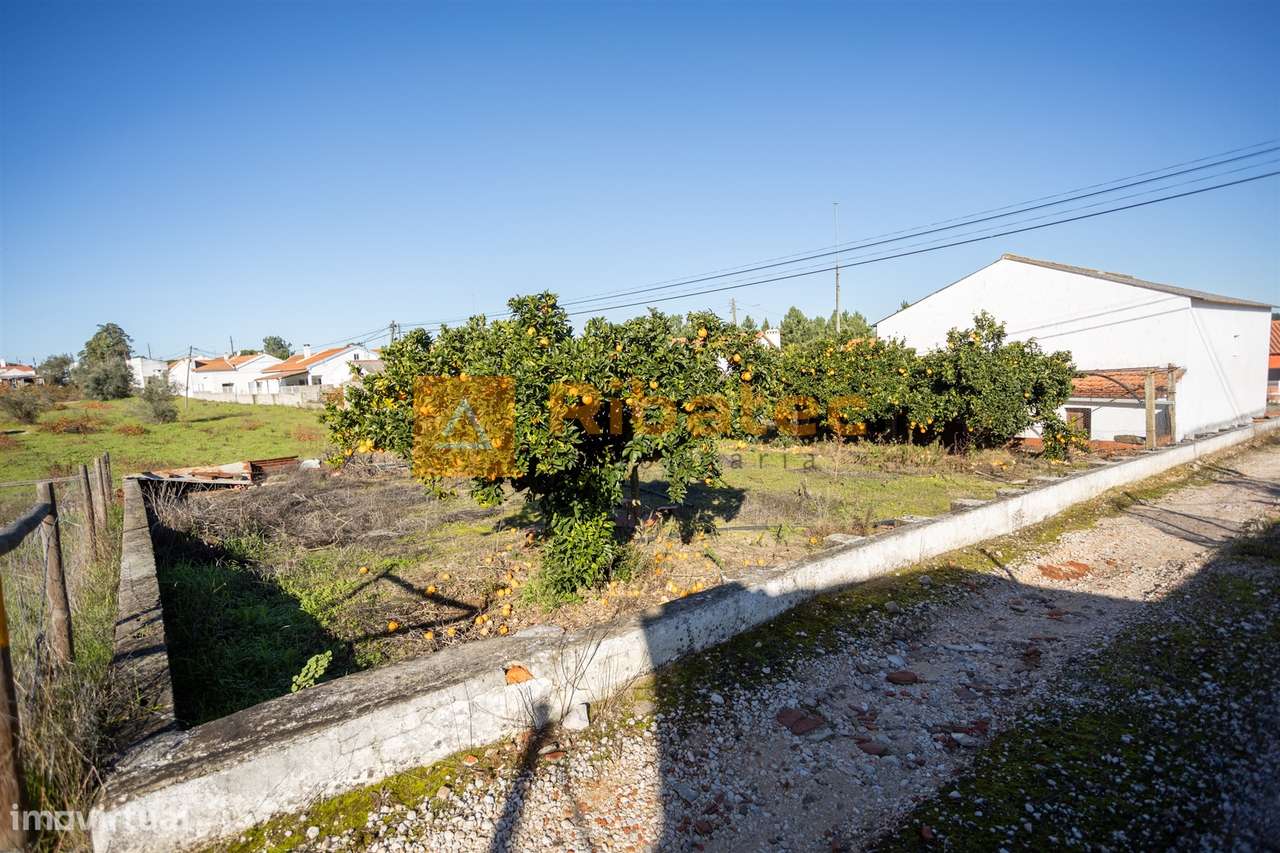 Armazém na Fajarda - Grande imagem: 5/8