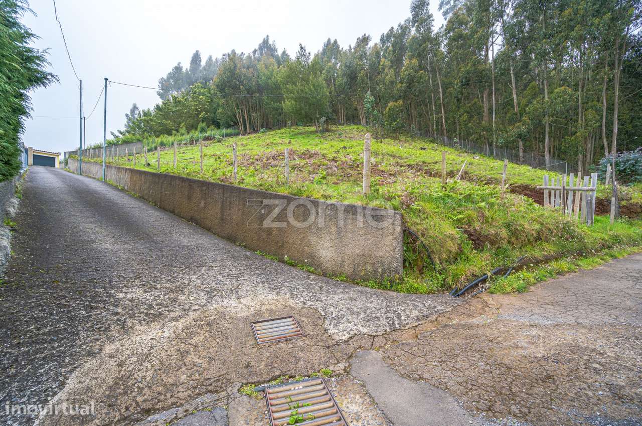 Terreno Urbanizável com 2450 m2 na Camacha, Santa Cruz - Grande imagem: 2/24