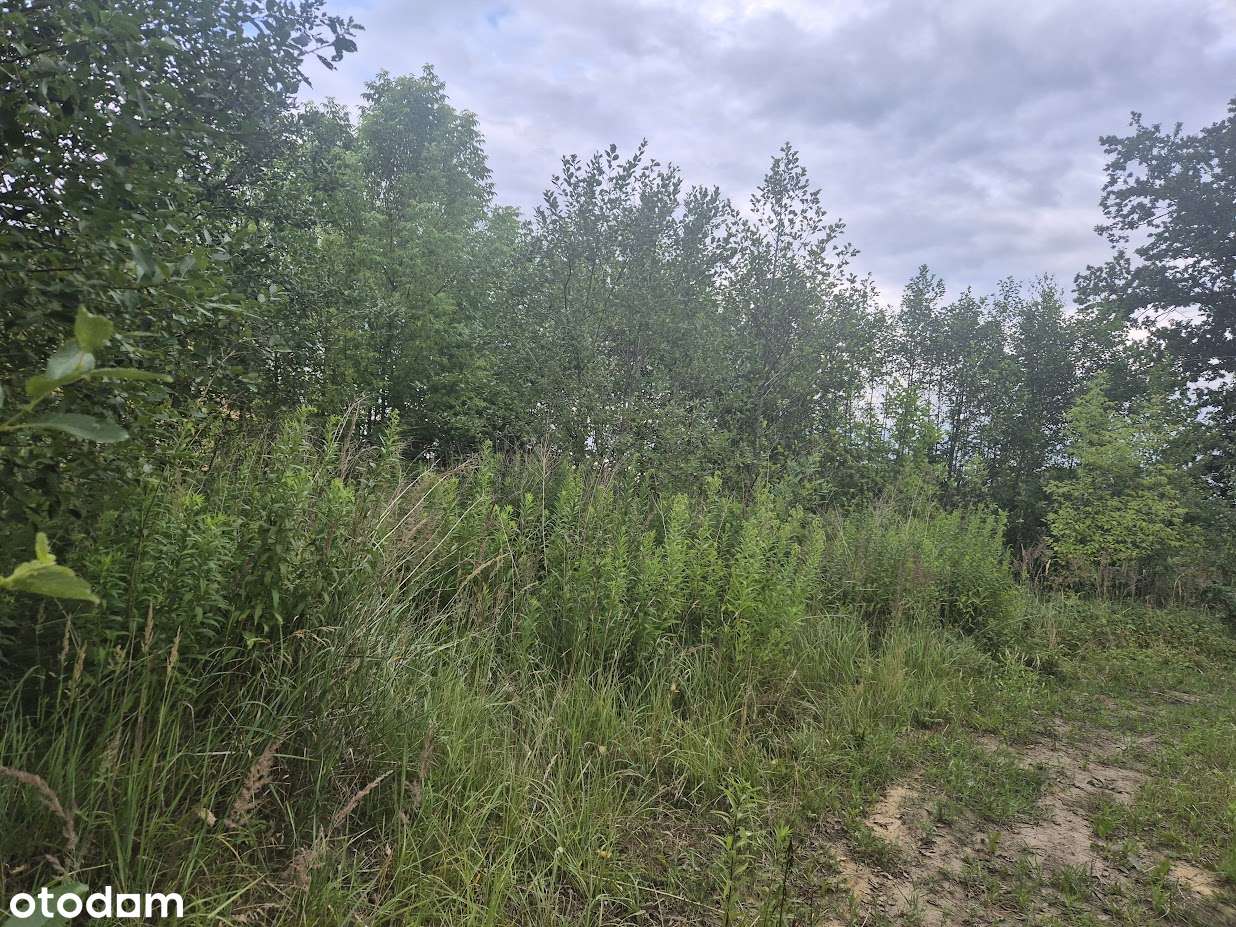 Działka budowlana gm Poczesna - Pełny obrazek: 5/9