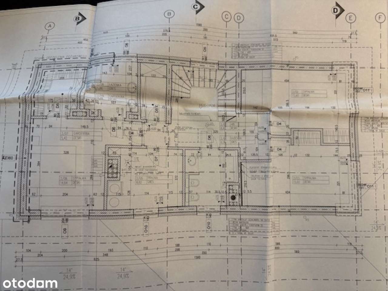 wolnostojący, Rybie-18