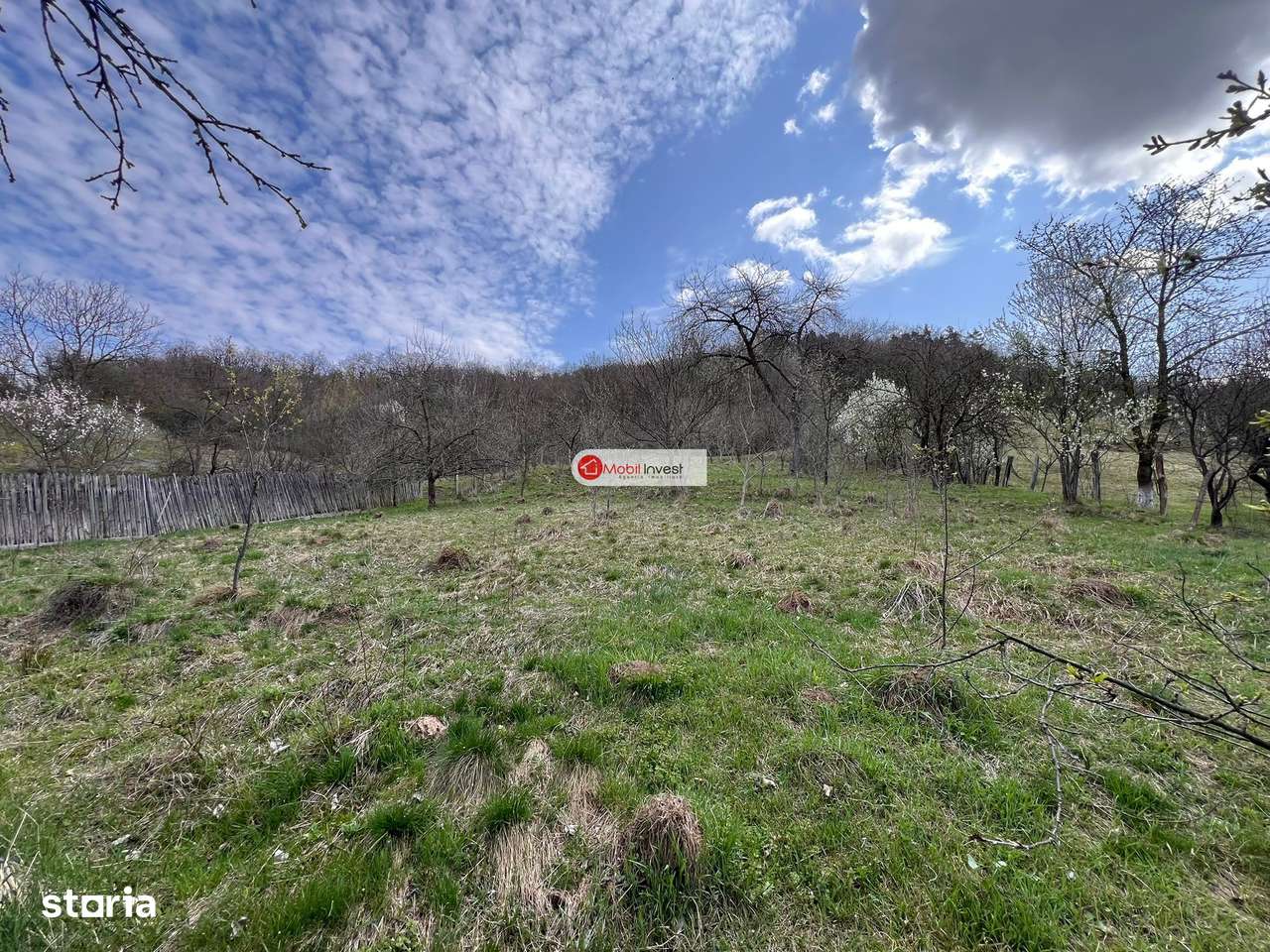 Exclusivitate -Casă cu teren 2179 mp, la doar 11 km de Alba Iulia!-3