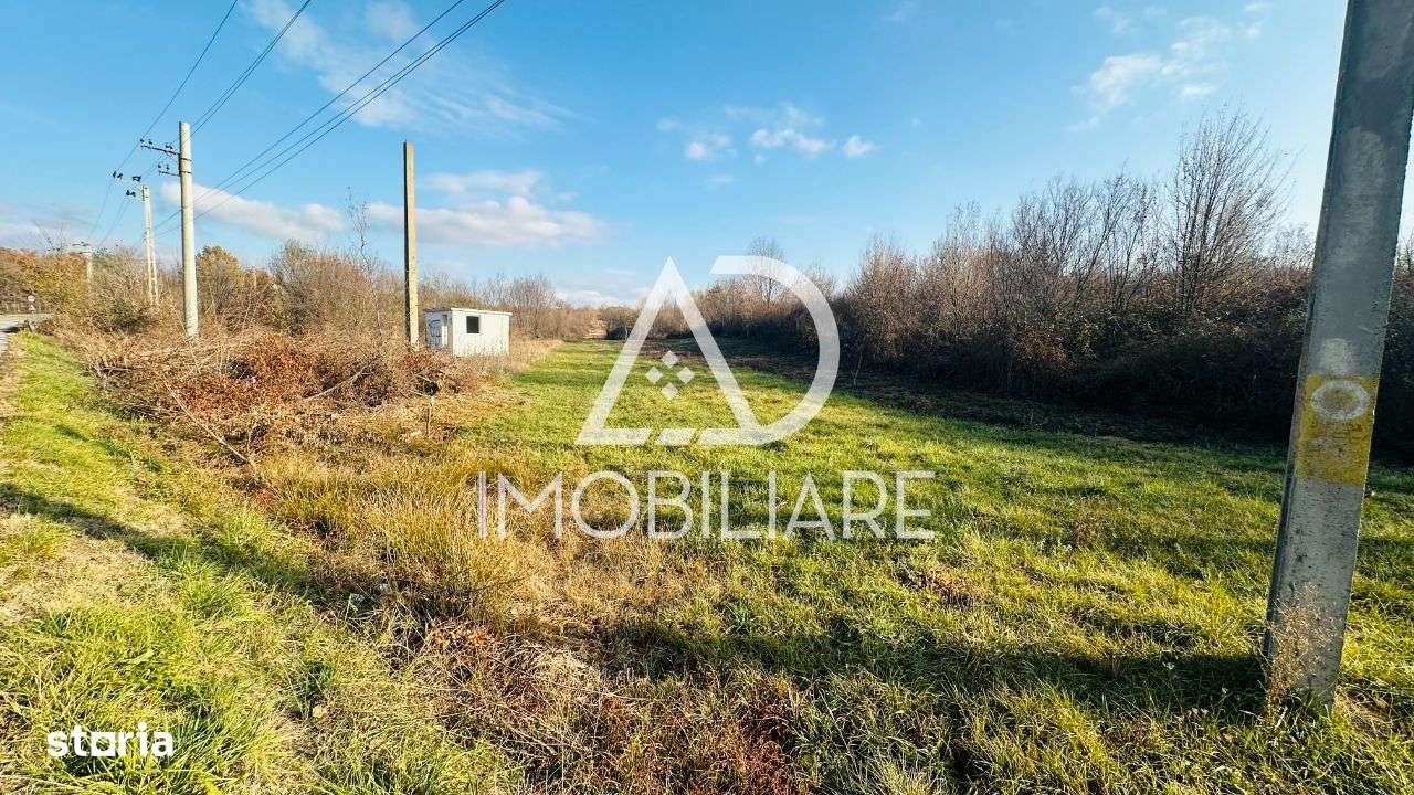 Vânzare teren în Curtișoara, vis-a-vis de Muzeul Arhitecturii Popular - Imagine principală: 2/9