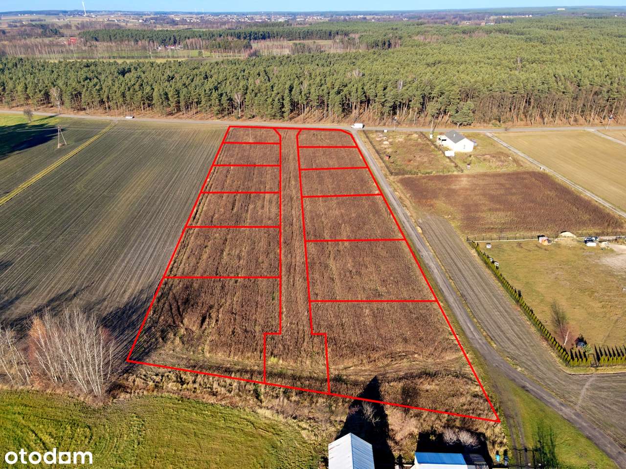 Działki budowlane Kuźnica, gm. Ceków-Kolonia - Pełny obrazek: 5/10