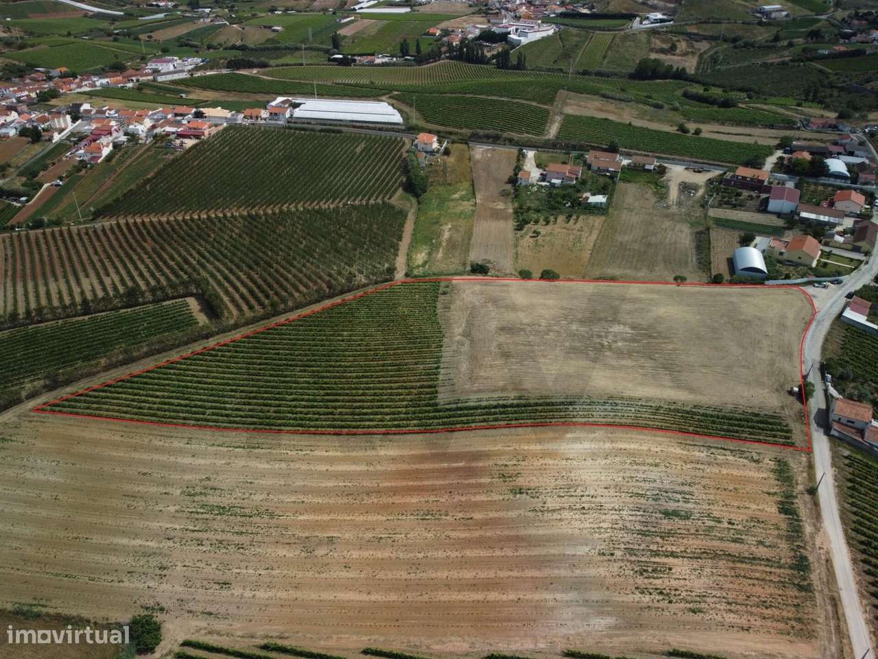 OPORTUNIDADE | TERRENO DE 15.080 M² | FREIRIA | TORRES VEDRAS - Grande imagem: 4/14