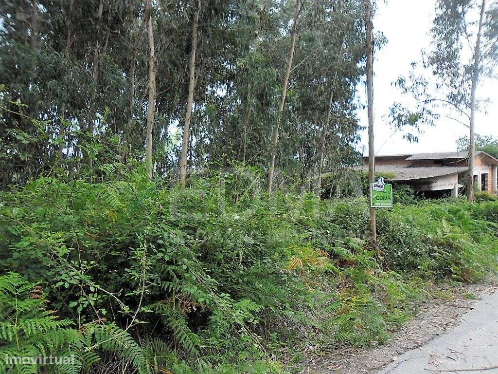 Terreno - Grande imagem: 2/9