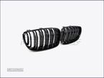 Grelhas Capo BMW E81 / E82 / E87 / E88 - 2