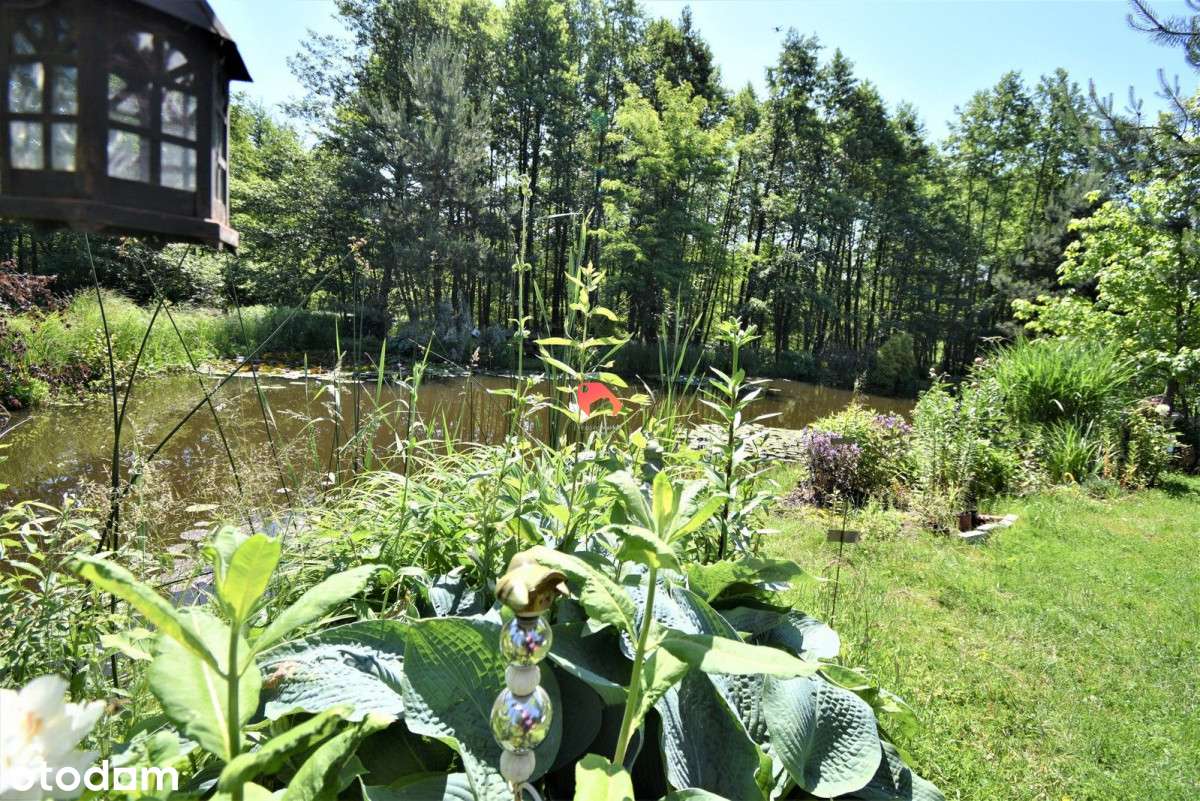 Działka Budowlana Z Pięknym Ogrodem I Stawami !!! - Pełny obrazek: 5/20