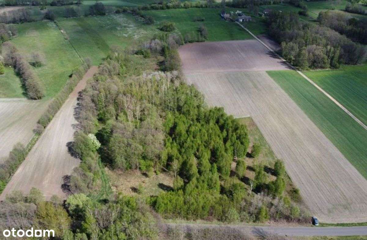 Na sprzedaż grunt rolno-leśny gm. Rychwał - Pełny obrazek: 4/6