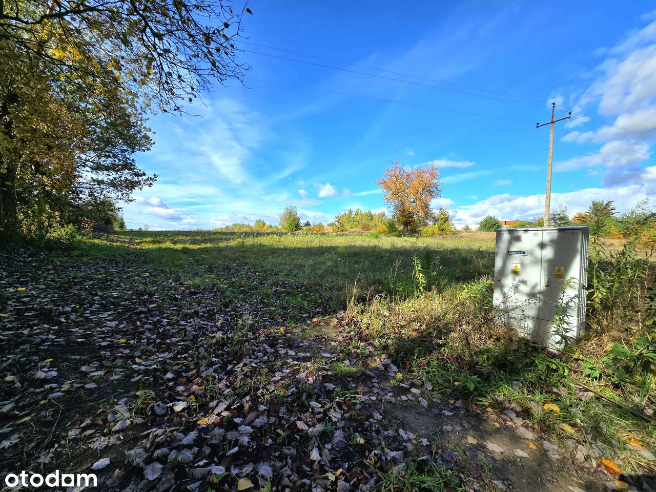 Działka o korzystnych parametrach | z prądem | 1 km od granic miasta - Pełny obrazek: 5/18