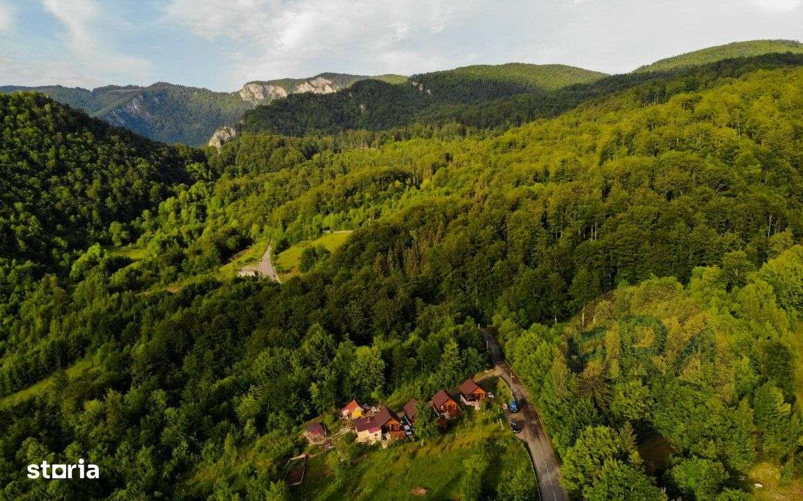 4 cabane din lemn, zona BOGA. - Imagine principală: 3/19