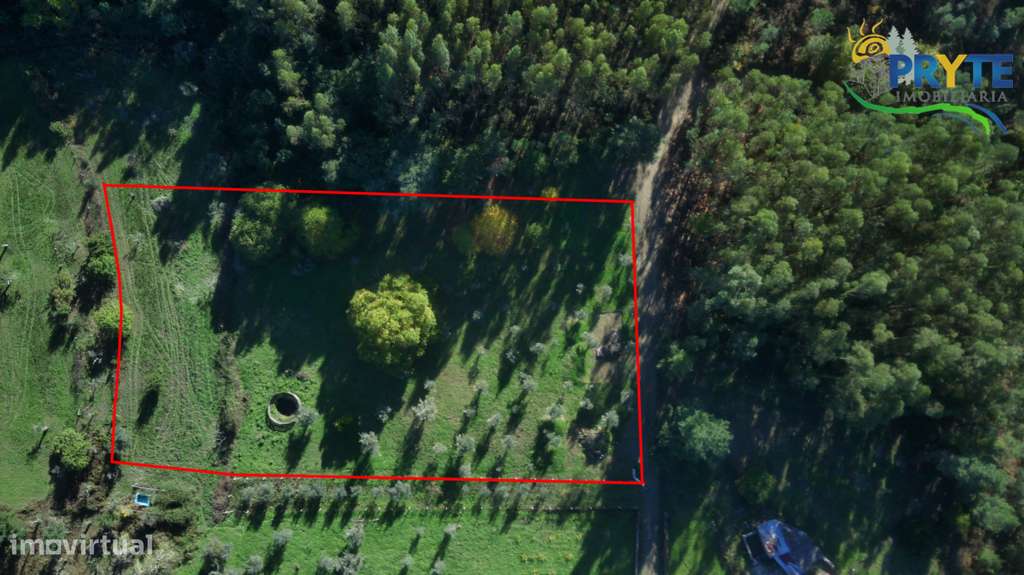 Propriedade composta por uma habitação para reconstrução-6