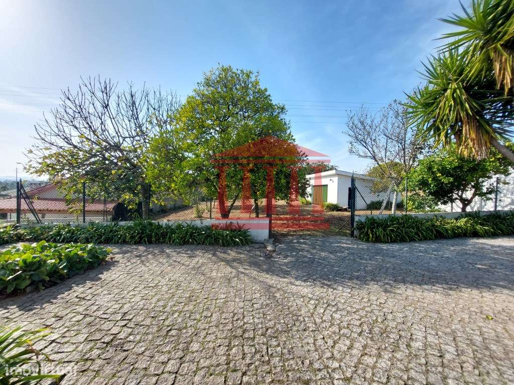 QUINTINHA COM CASA E ANEXOS - AREIAS - BARCELOS-13