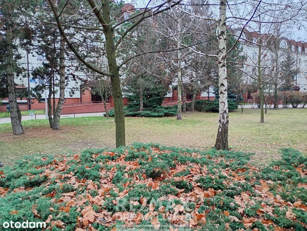 2 pok, 65 m² – przestronne z wielkim potencjałem!-1