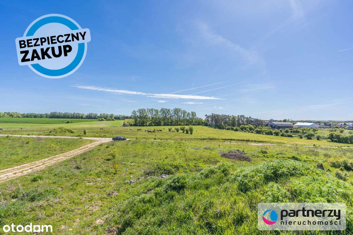 4 ha, bud. wielomieszkaniowe 4-lokalowe nad morzem - Pełny obrazek: 5/8