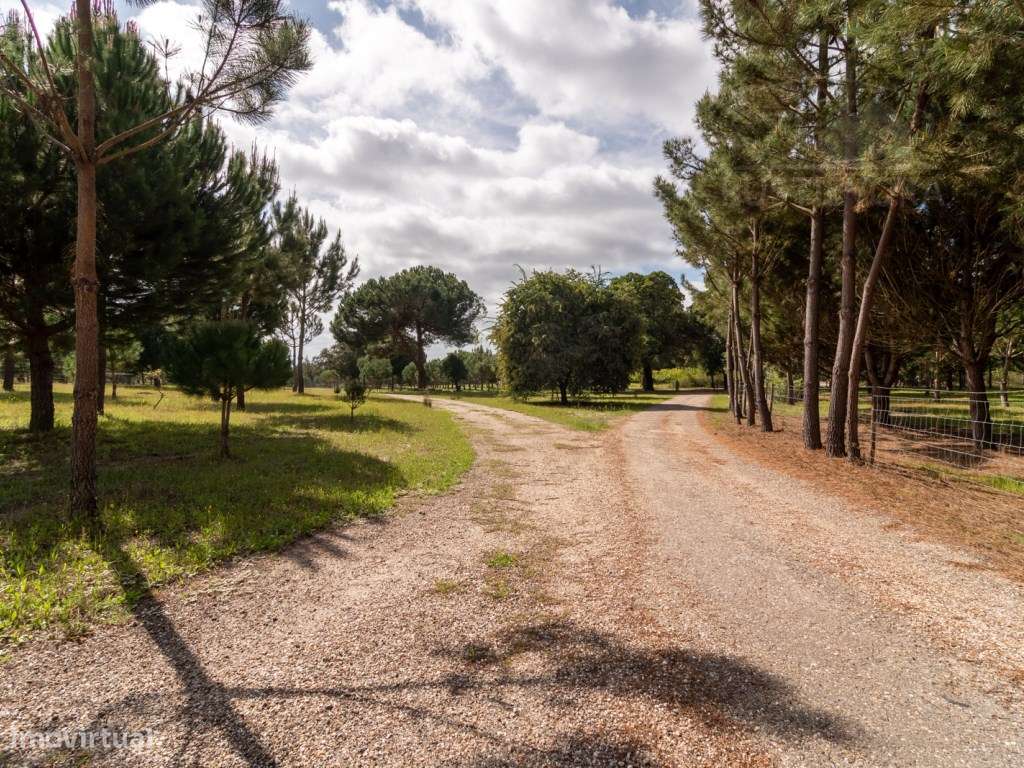 Herdade com 37 Ha com 6 Moradias para Habitação e/ou Turismo | Alcá...-16