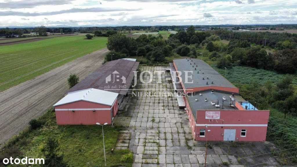Hala produkcyjno-magazynowa Gotowa - Brzeg/ PawŁów - Pełny obrazek: 4/20