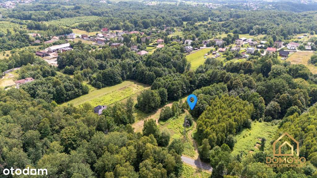 Działka przy lesie – cisza, zieleń i przestrzeń - Pełny obrazek: 5/8