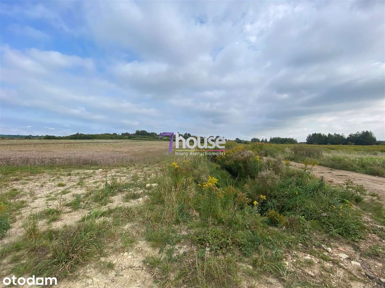 Działka, 736 m², Dobieszowice - Pełny obrazek: 5/13