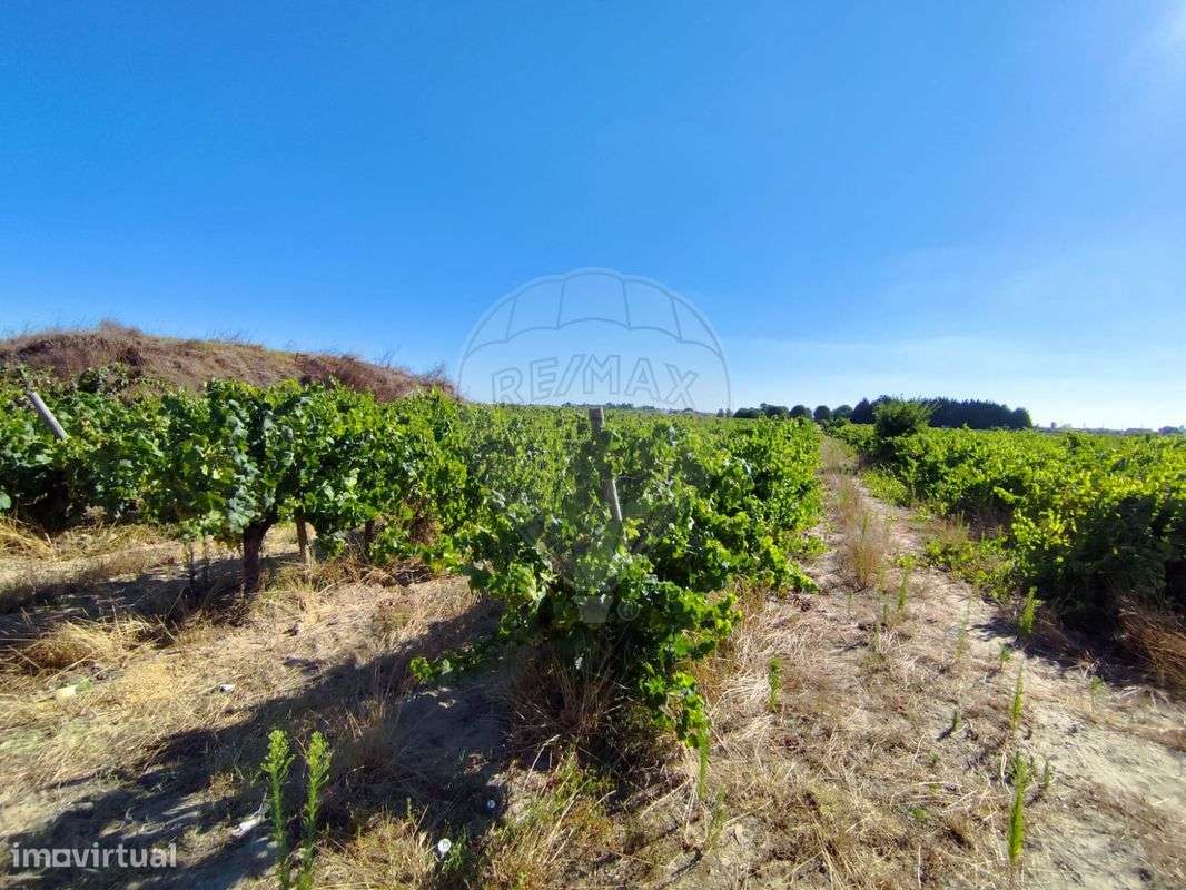 Terreno  para venda - Grande imagem: 2/4