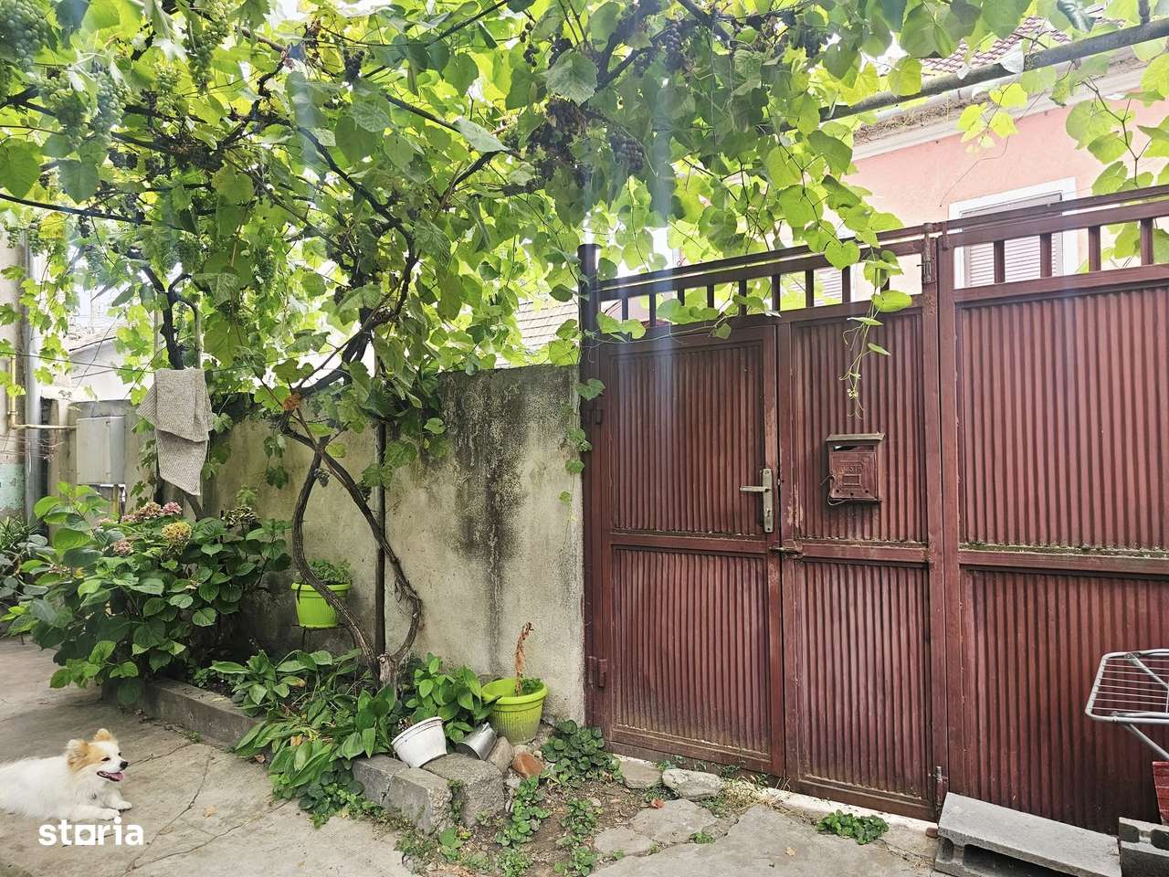 De vânzare casă individuală situată ultracentral-3