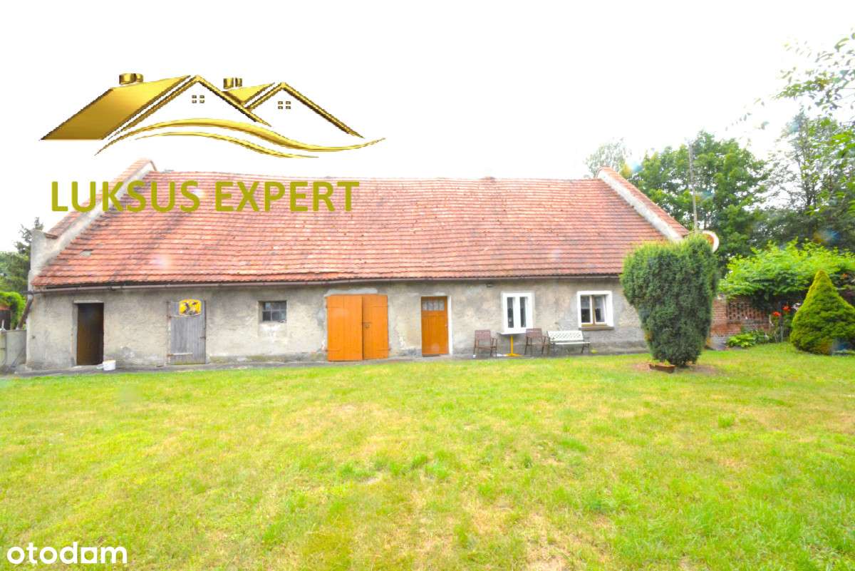 Dom z dużą działką w Bukowinie Sycowskiej - Pełny obrazek: 3/20