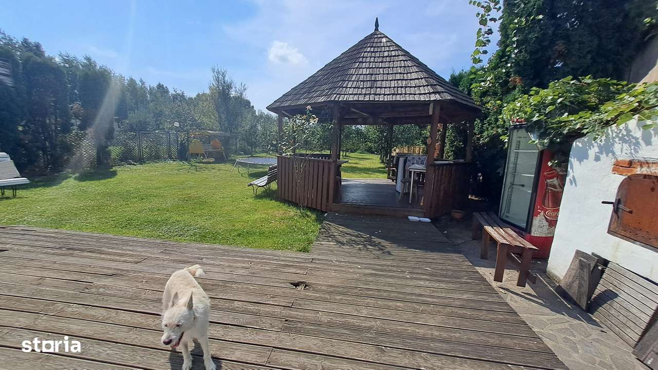 Satu Nou de Jos, casa  240mp. utili, 1200 mp. teren - Imagine principală: 5/12
