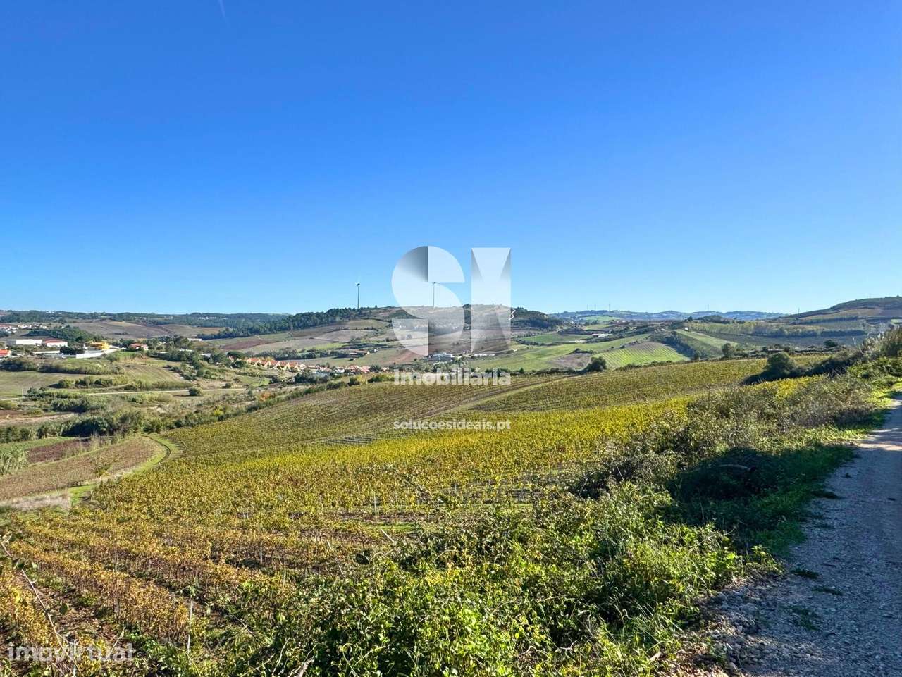 Terreno com vinha ativa - Grande imagem: 5/17