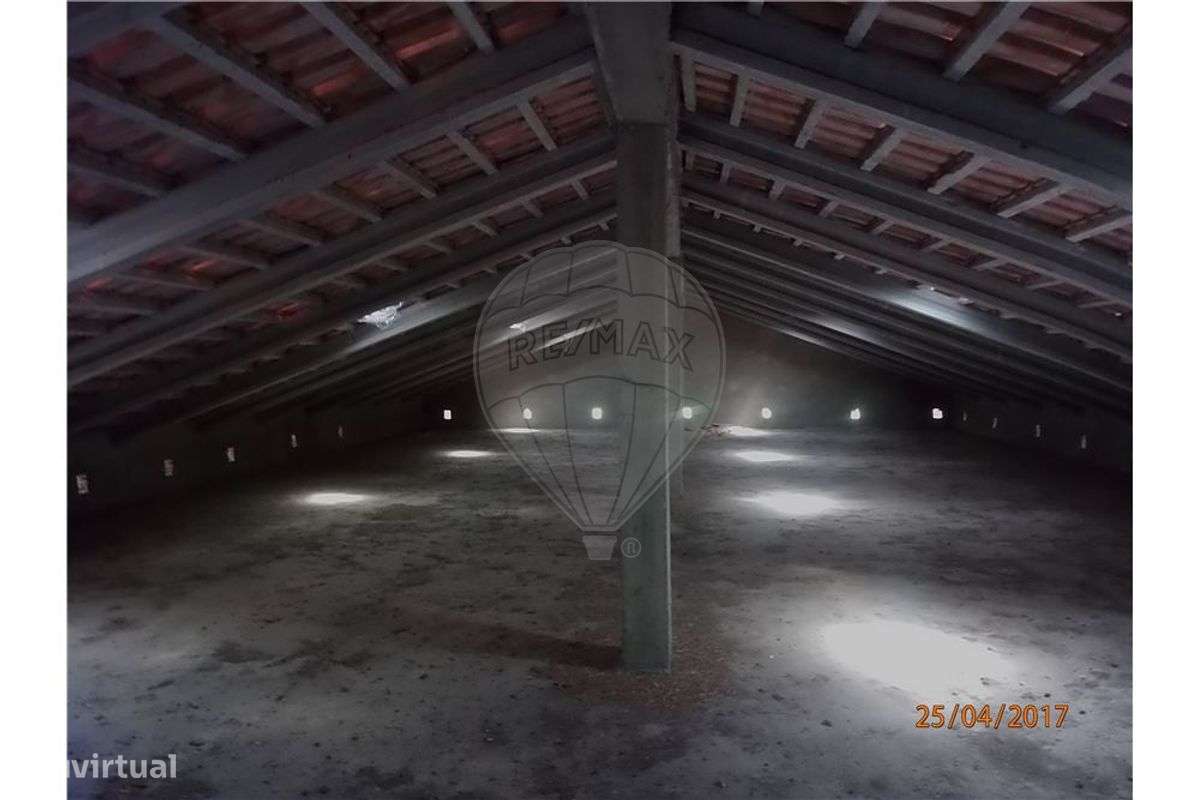 TERRENO - VENDA CARVIDE - Grande imagem: 5/13