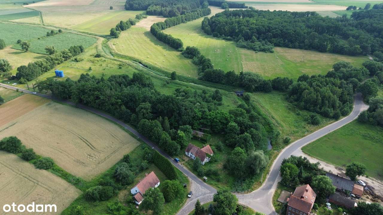 Wyjątkowa posiadłość w sercu lasu | Henrykowice k. Milicza | Dom 280 m-17