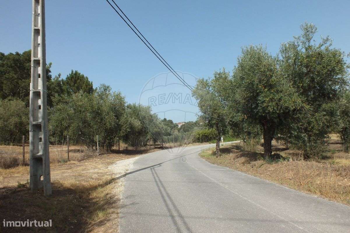 Terreno  para venda - Grande imagem: 5/5