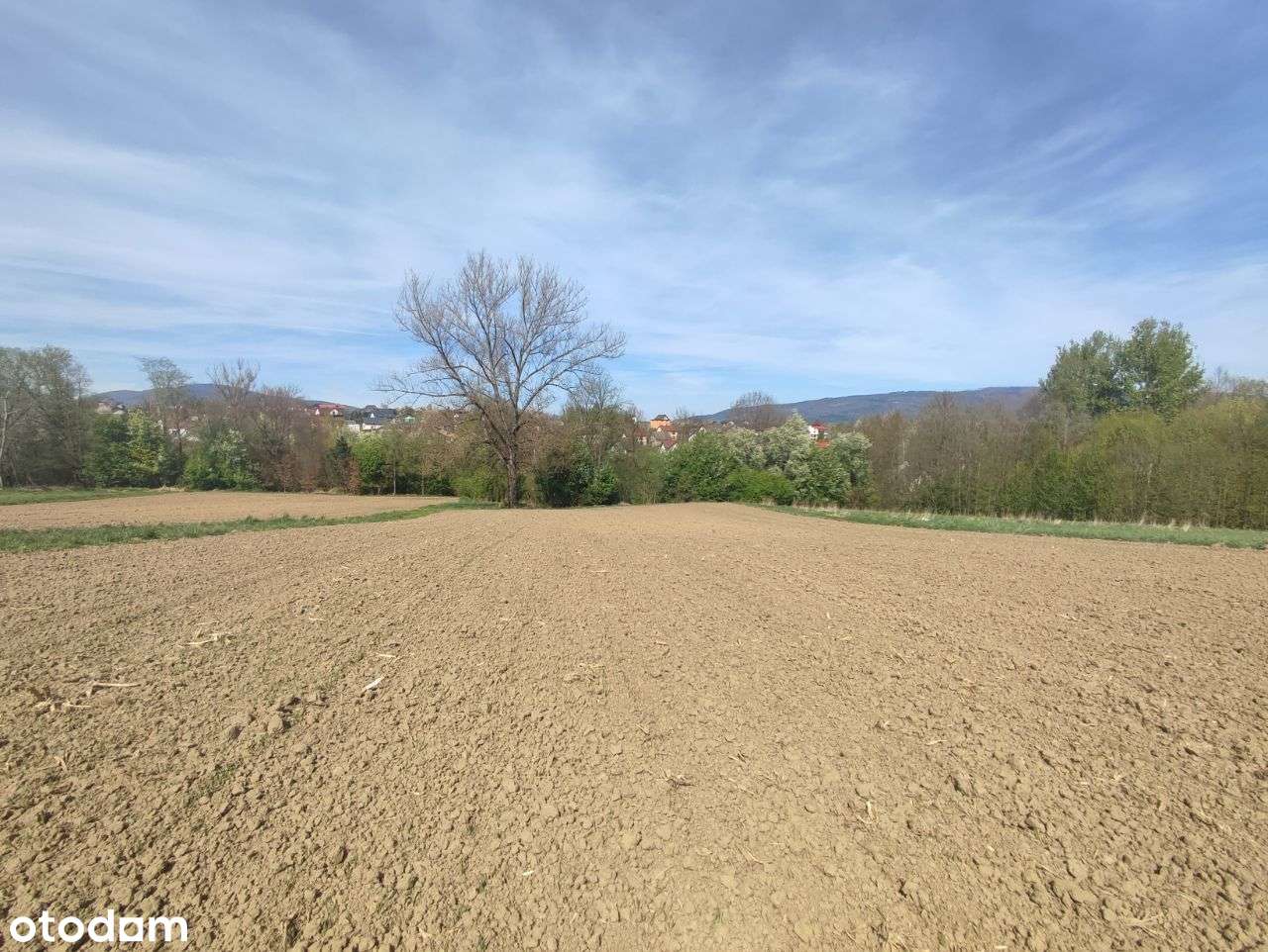 Działka w Pietrzykowiacach-6