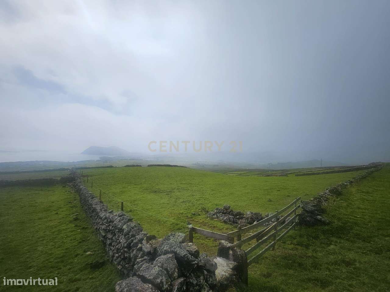 Excelente terreno rústico com 9680m2 na zona da Serra em Ribeirinha. - Grande imagem: 2/6