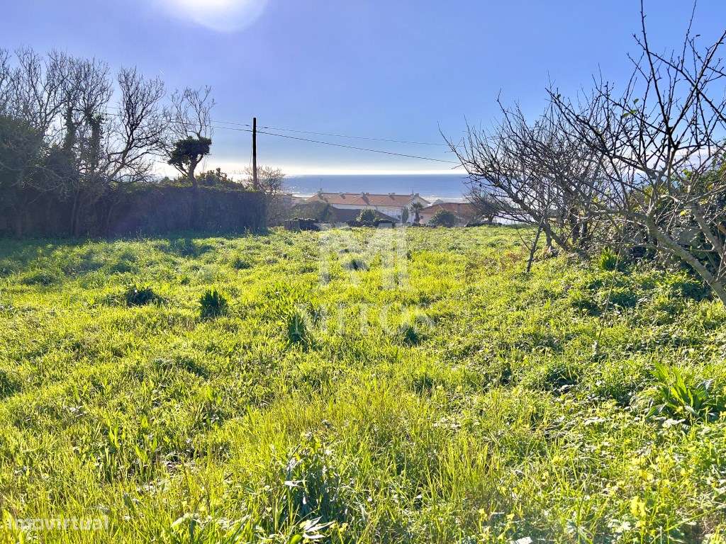 Terreno á venda em Carreço, Viana do Castelo - Grande imagem: 3/11