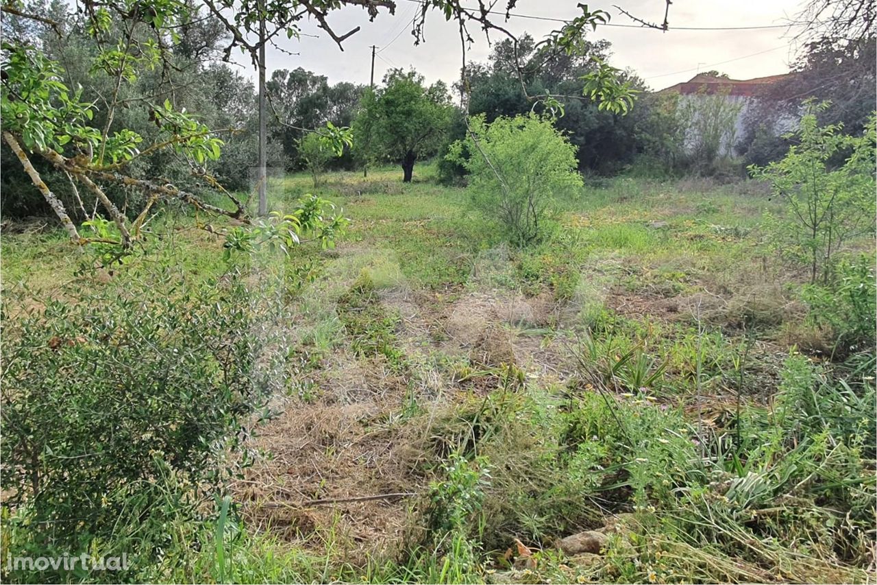 Terreno com viabilidade construção em Tunes, Silves