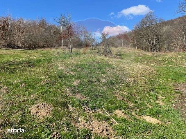 Teren 7,495mp Barsana - Imagine principală: 3/6