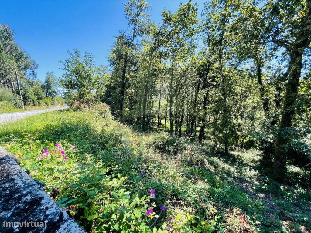 Terreno em Azevedo , Caminha para venda. - Grande imagem: 2/29