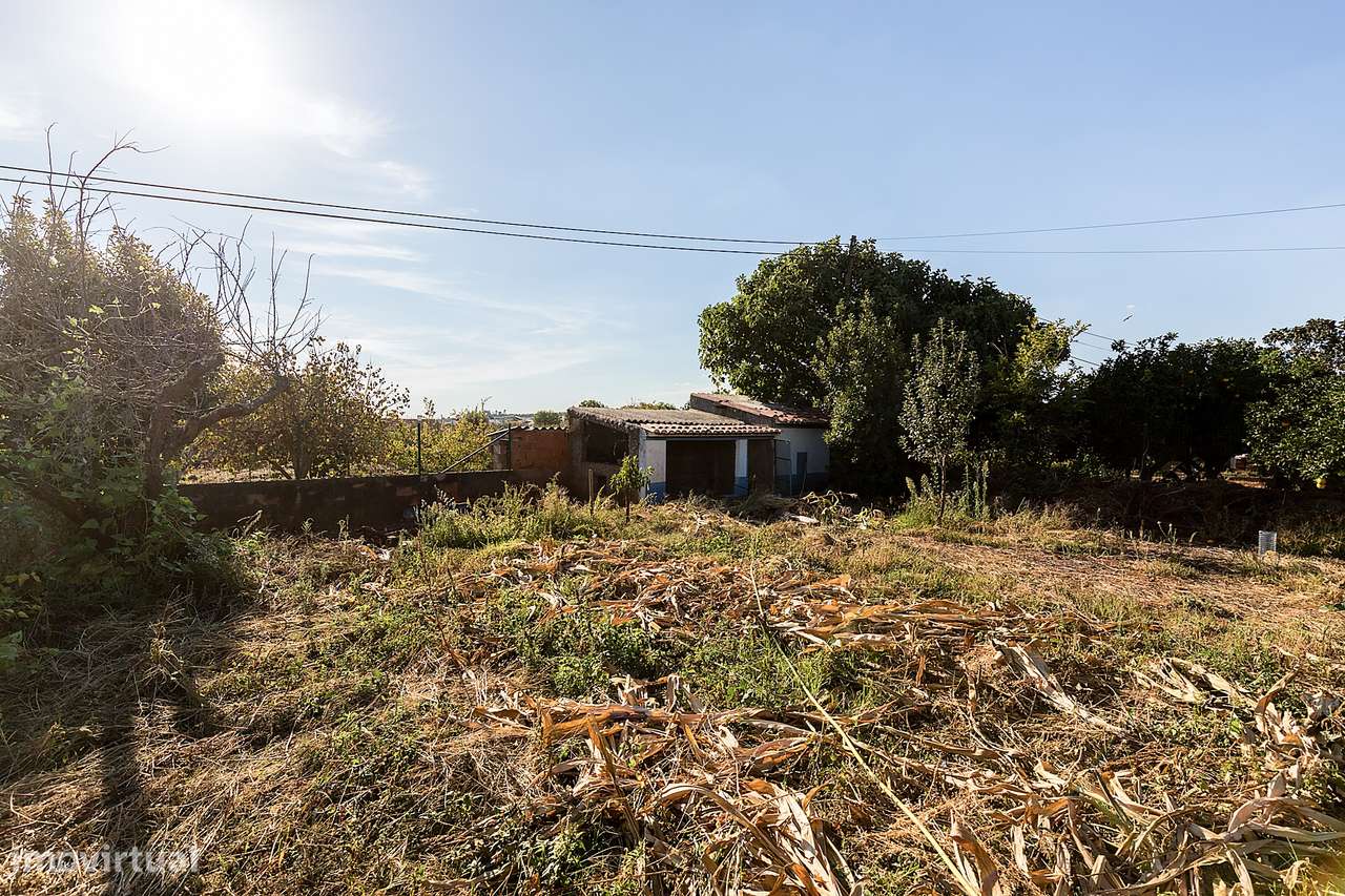 Moradia Isolada T4+2 com 245 m2 em Lote com 961 m2 na Aldeia de Nora,-50