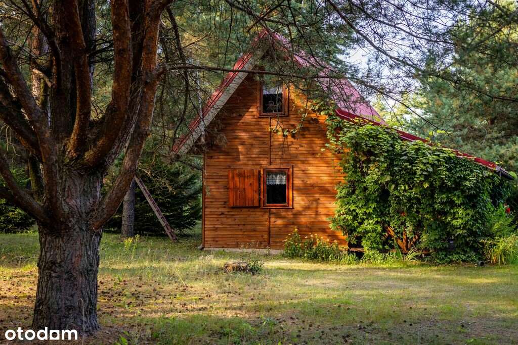 Duża działka z domkiem letniskowym-1