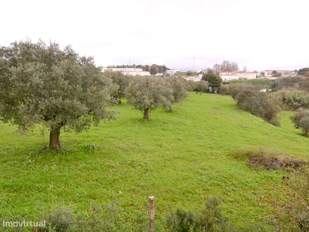 Quinta com Moradia inserida em 107.882m² terreno - Grande imagem: 5/27