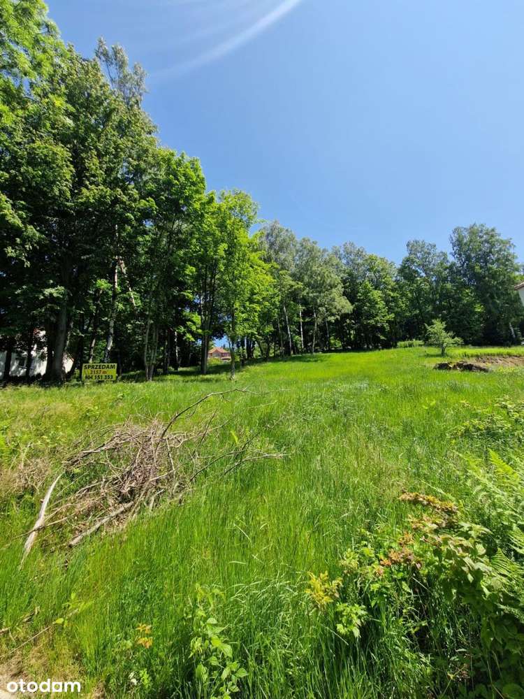 Działka z widokiem w zacisznej części uzdrowiska - Pełny obrazek: 5/5