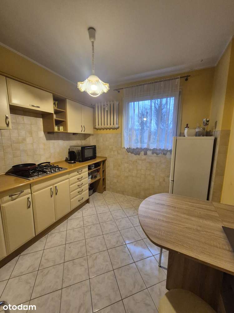 Na wynajem 2-pokojowe mieszkanie 48m2 z ogródkiem! - Pełny obrazek: 4/8